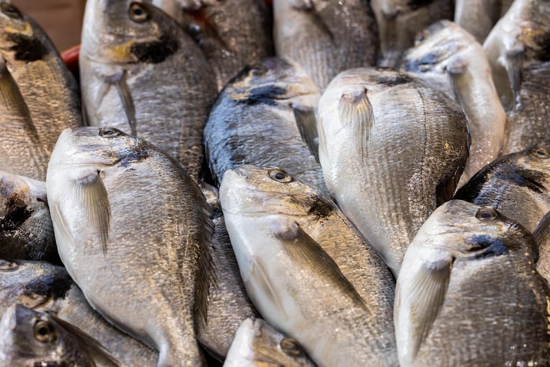 Tsukiji Fish Market Tokyo